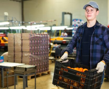 Productiemedewerker groente en fruit